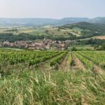 View of Boudes from Domaine Sauvat_photo by Andrew Manns