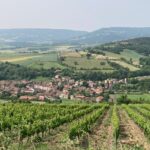 Wine and Wellbeing: A Visit to Boudes with Annie Sauvat