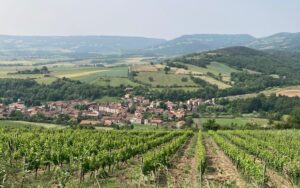 Wine and Wellbeing: A Visit to Boudes with Annie Sauvat