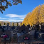 Carmes Cemetery autumn colour