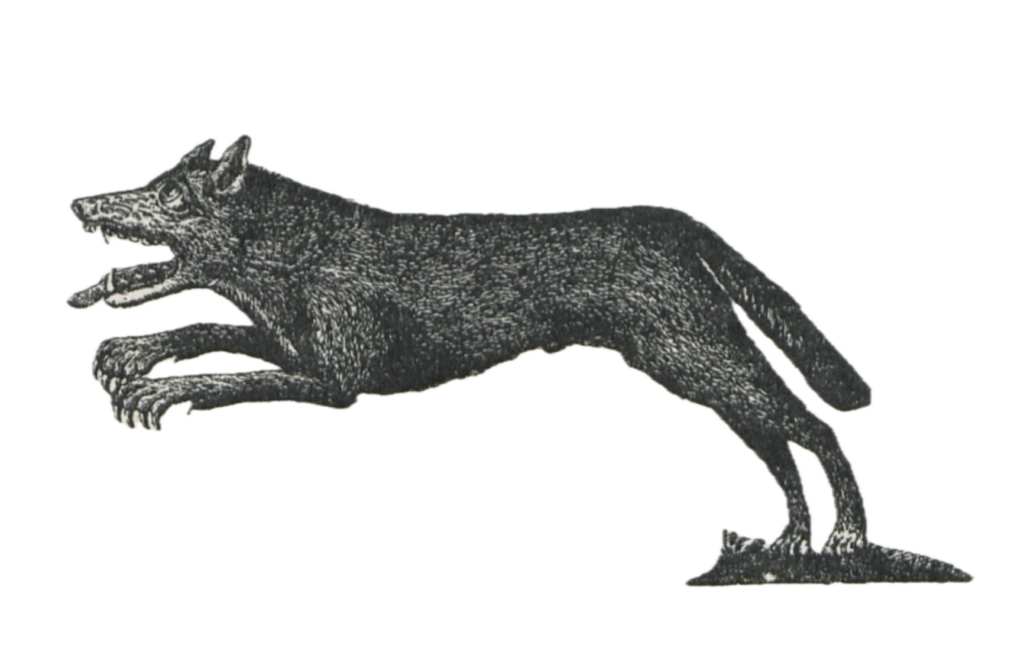 A werewolf in Cantal