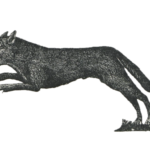 gevaudan werewolf