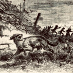 The Werewolf of Saint-Amandin